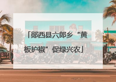 郧西县六郎乡“黄板护椒”促绿兴农
